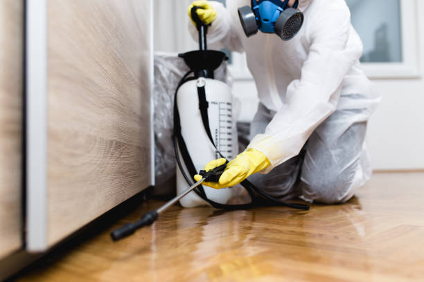 Best Local Pest Control Services  in Clay City, KY
