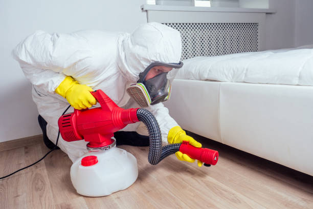 Best Pest Prevention Services  in Clay City, KY