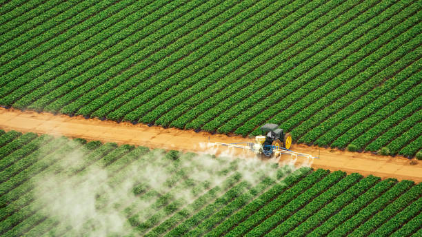Best Mosquito Control Services  in Clay City, KY
