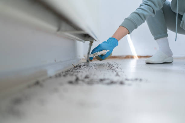 Best Commercial Pest Control Services  in Clay City, KY