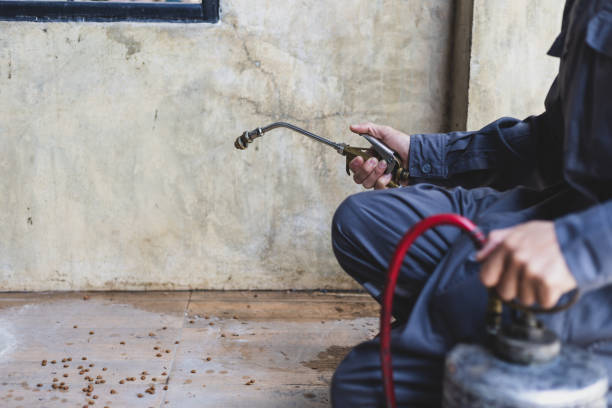 Best Termite Control Services  in Clay City, KY